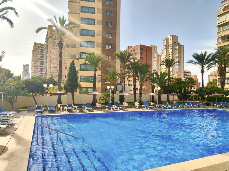 Piscine rénovée avec transats et palmiers Piscine de la résidence avec transats, parasols, palmiers et vue sur les gratte-ciel de Benidorm