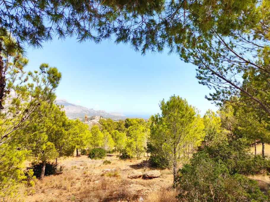 Vue sur pinède et Sierra de Bernia depuis villa Polop Bay View Costa Blanca