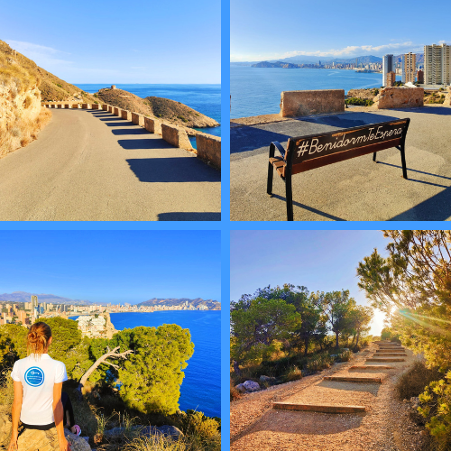 Playa Levante Benidorm vue avec palmiers et île de Benidorm