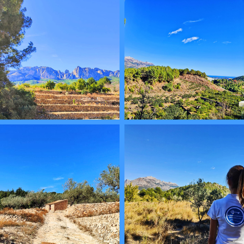 Activités à Benidorm : nature, English Square, Aqualandia, Terra Mitica