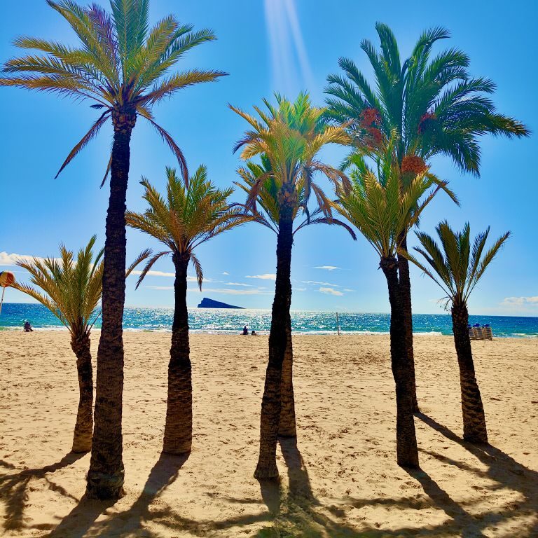 Playa Levante Benidorm vue panoramique avec palmiers et île de Benidorm