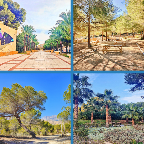 Balades et nature autour de Benidorm : parcs urbains, sentiers côtiers et pinèdes pour profiter du paysage méditerranéen